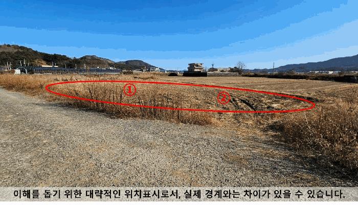 경상남도 창원시 마산합포구 진전면 근곡리 196-2 답 경매 사진 3