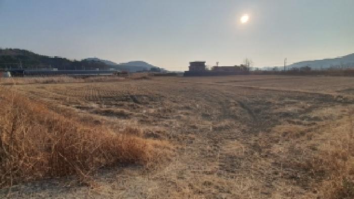 경상남도 창원시 마산합포구 진전면 근곡리 196-2 답 경매 사진 5