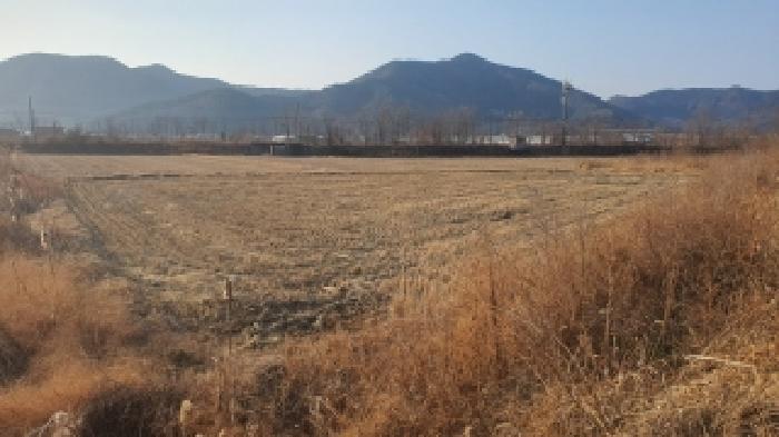 경상남도 창원시 마산합포구 진전면 근곡리 196-2 답 경매 사진 6