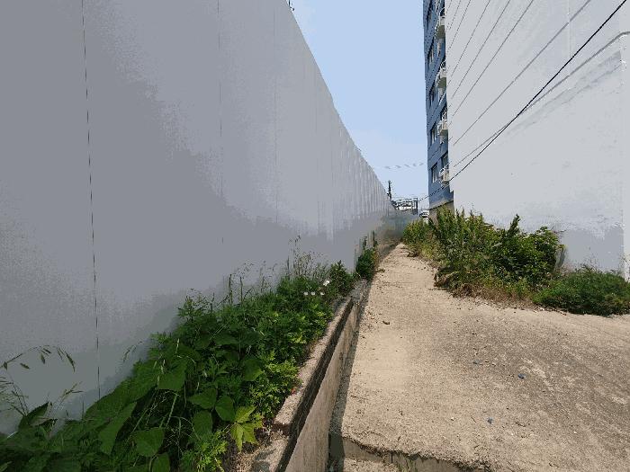 부산 영도구 대지