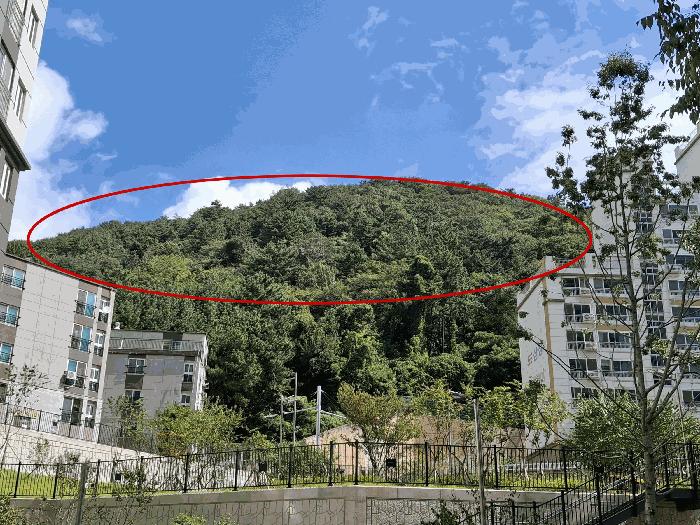 부산광역시 부산진구 부암동 산70 임야 경매 사진 3
