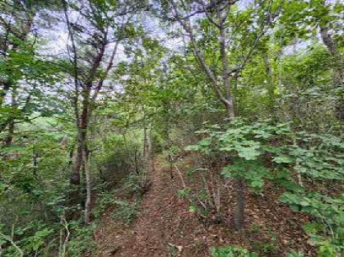 부산광역시 부산진구 부암동 산70 임야 경매 사진 4