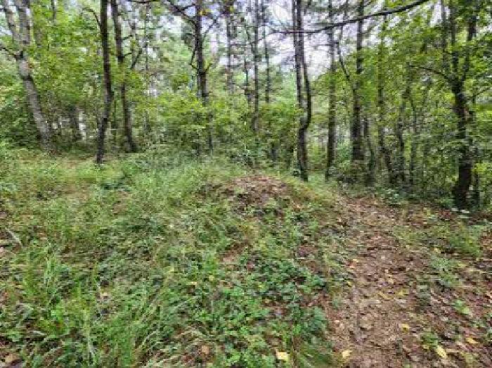 부산광역시 부산진구 부암동 산70 임야 경매 사진 5