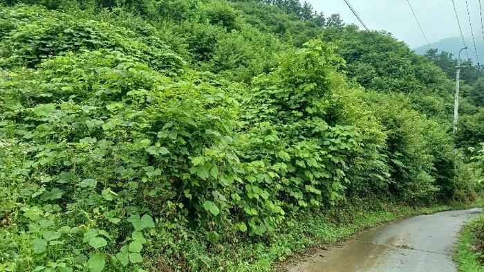 경상남도 거창군 고제면 농산리 31 답 경매 사진 10