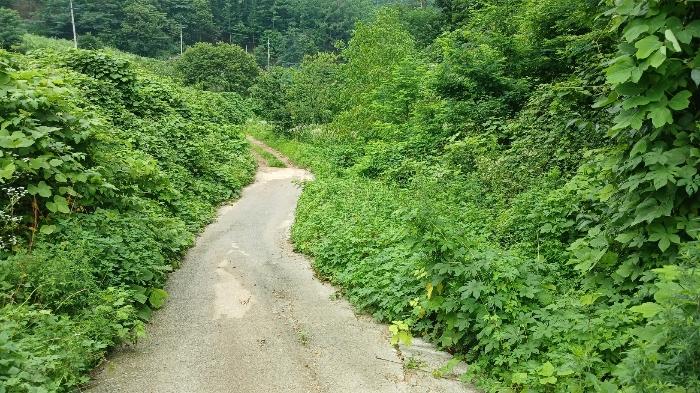 경상남도 거창군 고제면 농산리 31 답 경매 사진 16