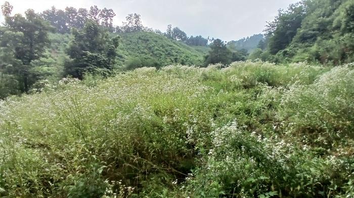 경상남도 거창군 고제면 농산리 31 답 경매 사진 2