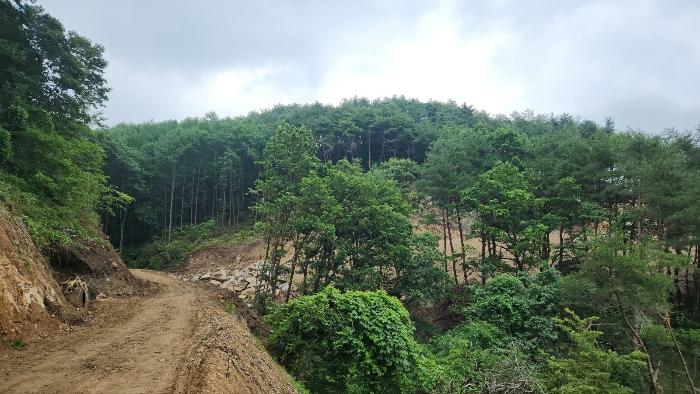 경상남도 거창군 고제면 농산리 31 답 경매 사진 4