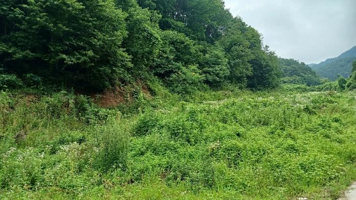 경상남도 거창군 고제면 농산리 31 답 경매 사진 5