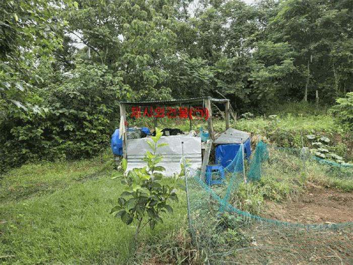 경상남도 합천군 전
