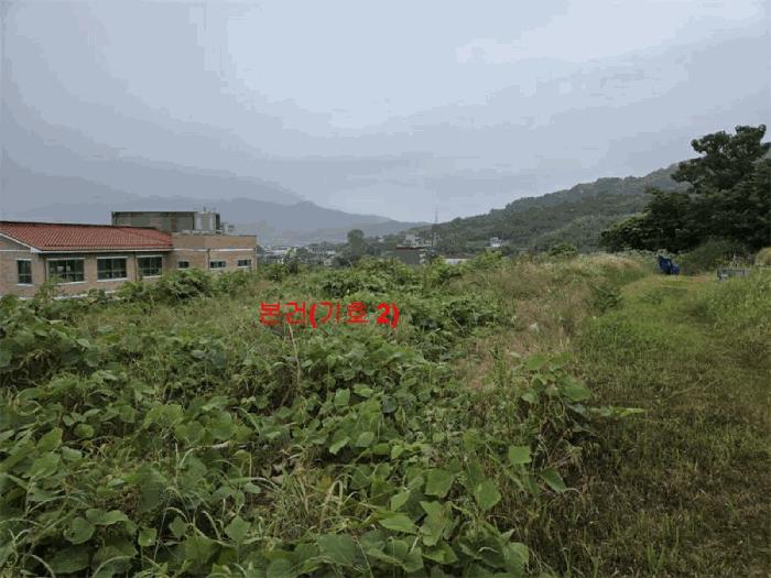 경상남도 합천군 초계면 아막리 308 전 경매 사진 10