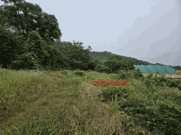 경상남도 합천군 초계면 아막리 308 전 경매 사진 3