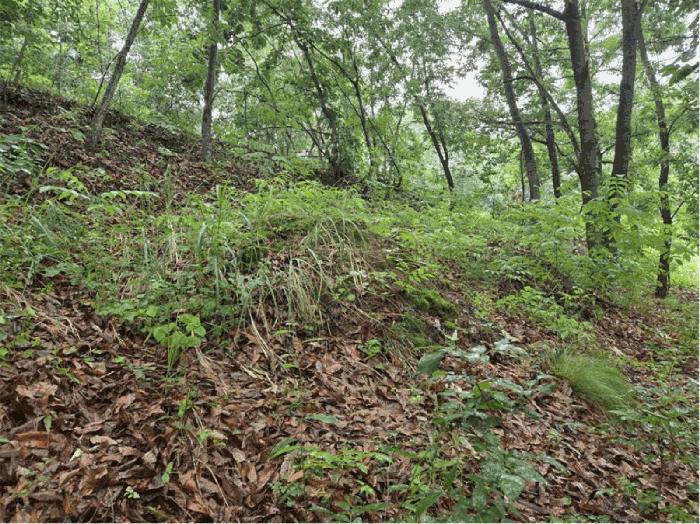 경상남도 합천군 초계면 아막리 308 전 경매 사진 8