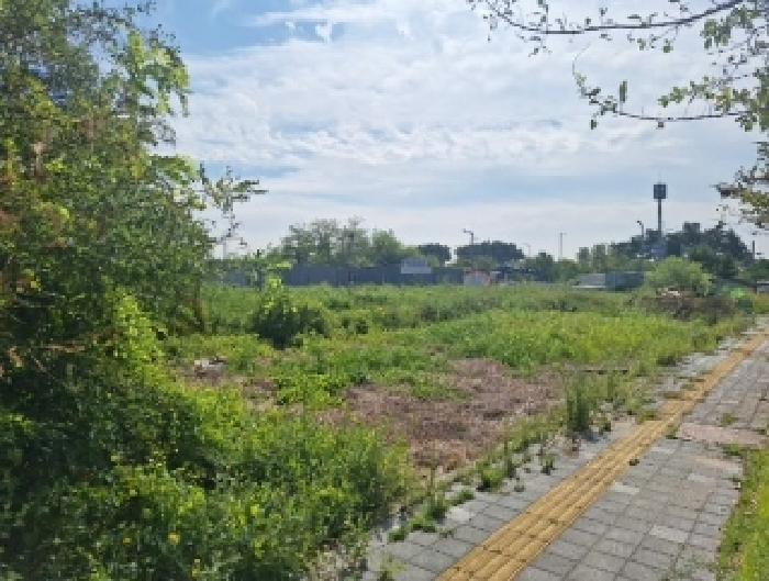 인천광역시 중구 운남동 1706-2 대지 경매 사진 5