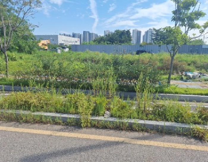 인천광역시 중구 운남동 1706-2 대지 경매 사진 7