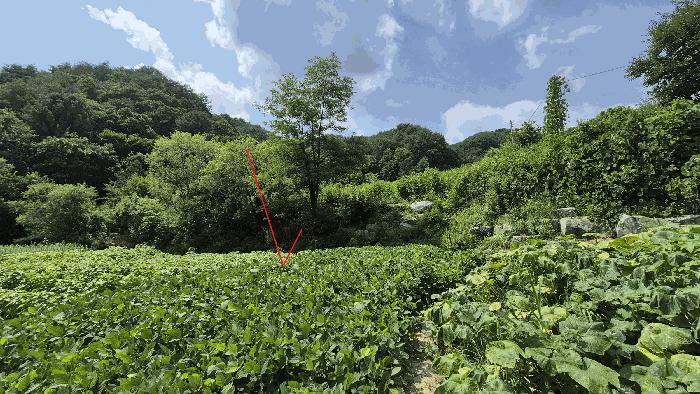 강원특별자치도 화천군 사내면 사창리 82 창고 경매 사진 13