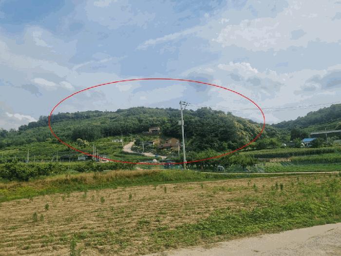 강원특별자치도 원주시 소초면 수암리 산51 임야 경매 사진 5