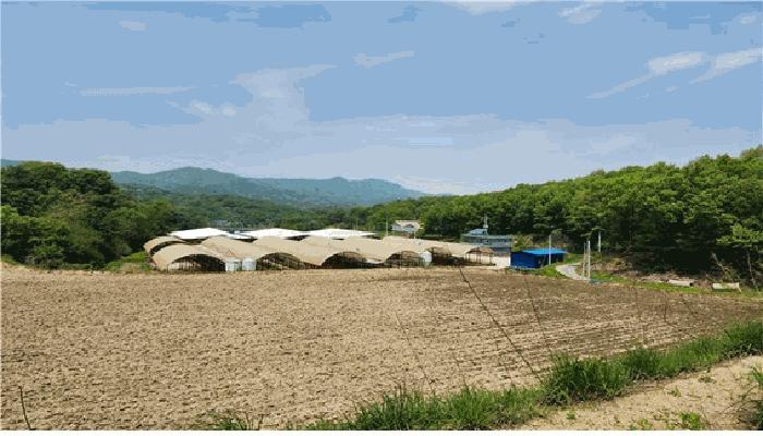 강원특별자치도 횡성군 횡성읍 반곡리 산33 축사(농가시설) 경매 사진 2