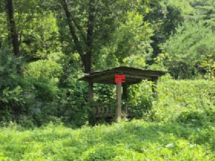강원특별자치도 횡성군 갑천면 삼거리 산51 임야 경매 사진 1