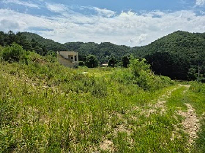 강원특별자치도 횡성군 갑천면 삼거리 산51 임야 경매 사진 9