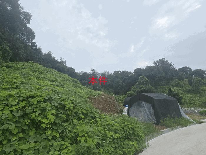 강원 원주시 임야