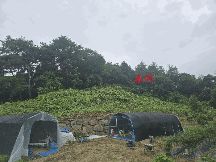 강원특별자치도 원주시 판부면 서곡리 산64 임야 경매 사진 5