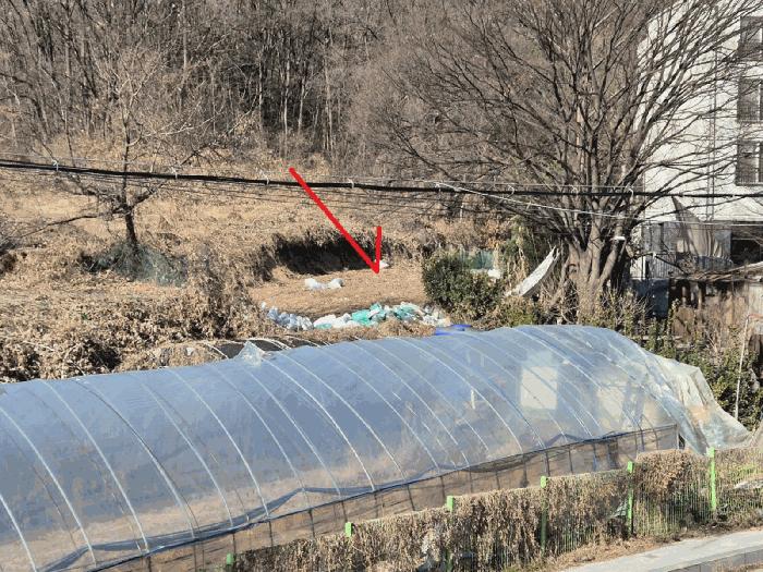 경기도 성남시 분당구 서현동 183 전 경매 사진 2
