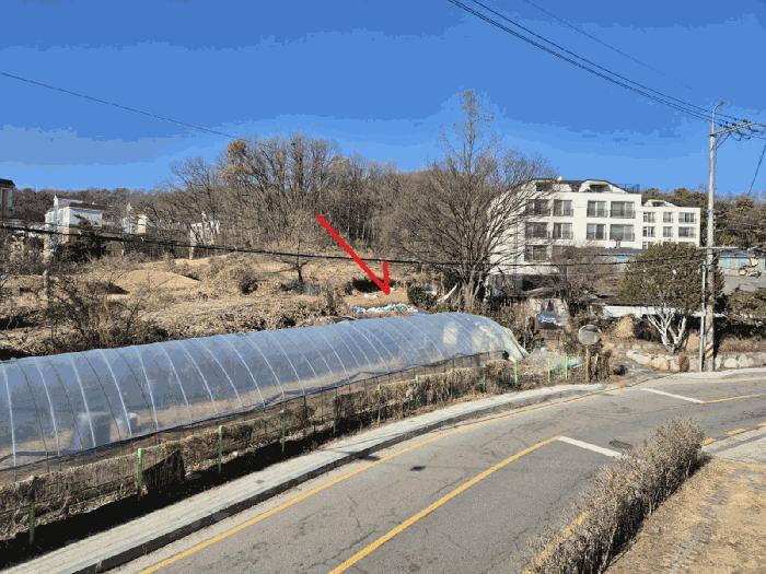 경기도 성남시 분당구 서현동 183 전 경매 사진 3