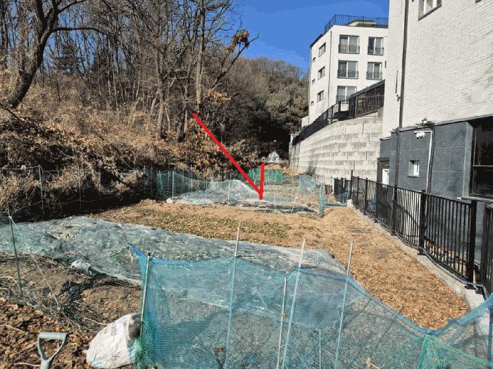 경기도 성남시 분당구 서현동 183 전 경매 사진 4