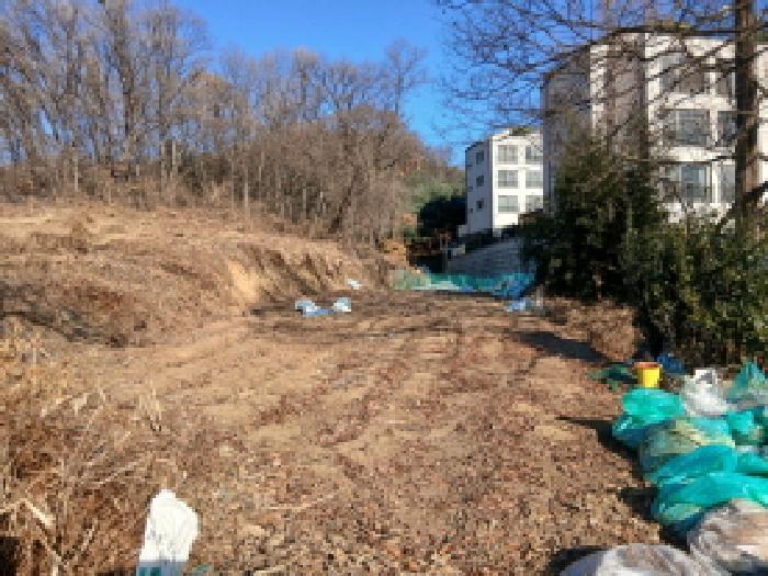 경기도 성남시 분당구 서현동 183 전 경매 사진 5