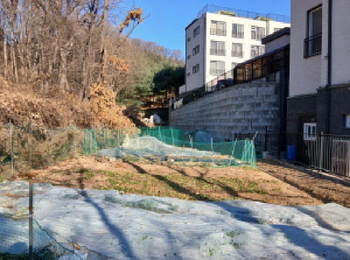 경기도 성남시 분당구 서현동 183 전 경매 사진 6