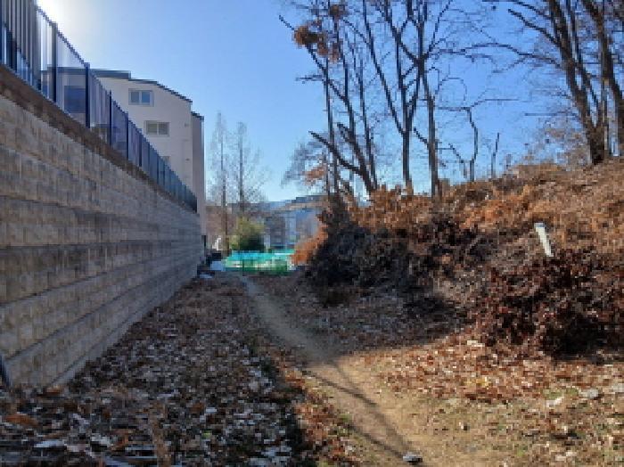 경기도 성남시 분당구 서현동 183 전 경매 사진 7