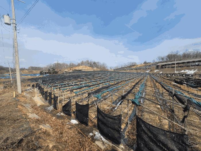 경기도 안성시 일죽면 월정리 812 전 경매 사진 13