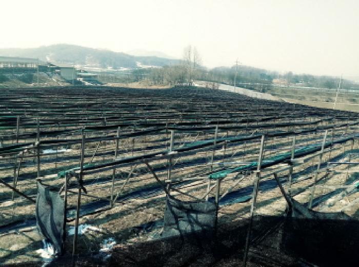 경기도 안성시 일죽면 월정리 812 전 경매 사진 16