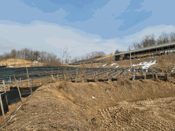 경기도 안성시 일죽면 월정리 812 전 경매 사진 7