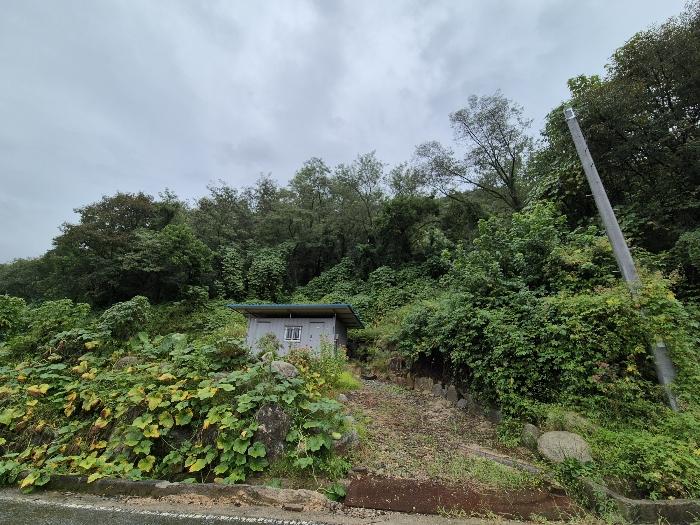 충청북도 충주시 수안보면 고운리 산61 임야 경매 사진 1