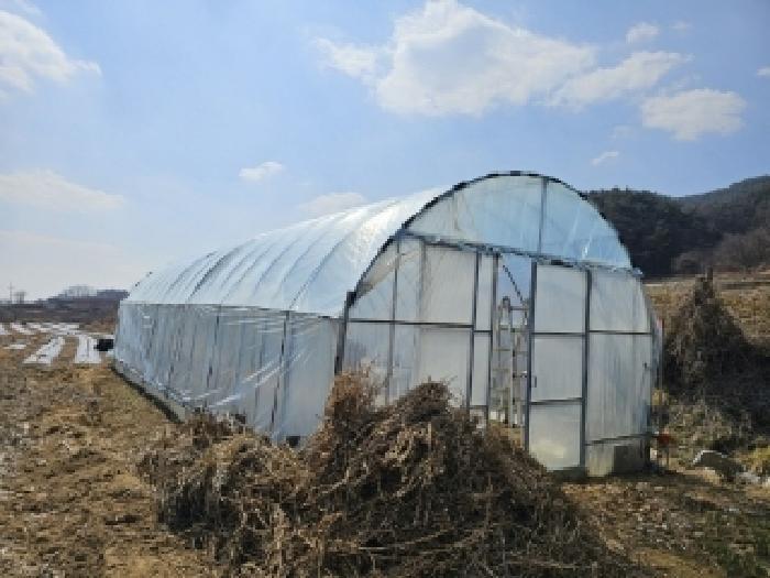 경상북도 영주시 평은면 오운리 1343 전 경매 사진 12