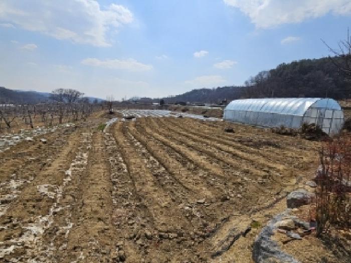 경상북도 영주시 평은면 오운리 1525 답 경매 사진 11