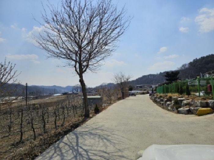 경상북도 영주시 평은면 오운리 1525 답 경매 사진 17