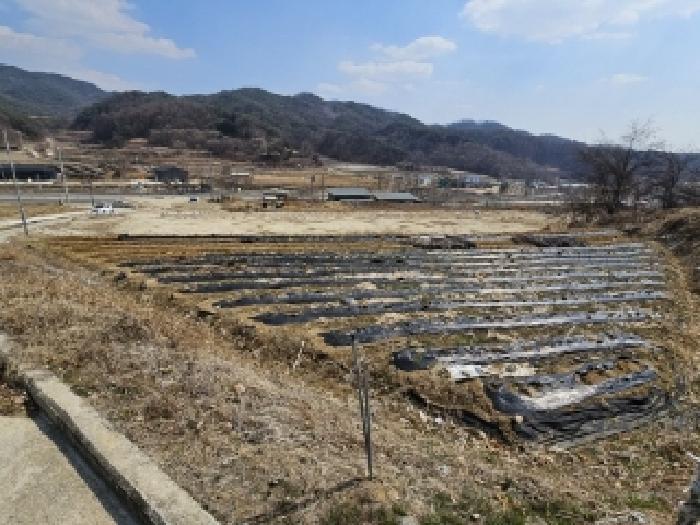 경상북도 영주시 평은면 오운리 1525 답 경매 사진 18