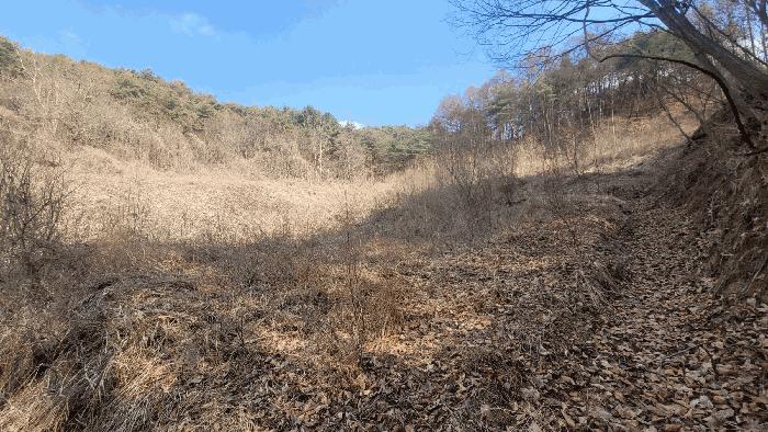 경상북도 영주시 평은면 오운리 1525 답 경매 사진 6