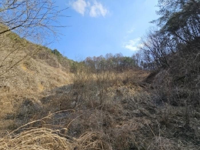경상북도 영주시 평은면 오운리 1525 답 경매 사진 7
