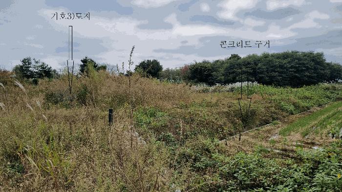 경기도 평택시 팽성읍 본정리 262-4 답 경매 사진 8