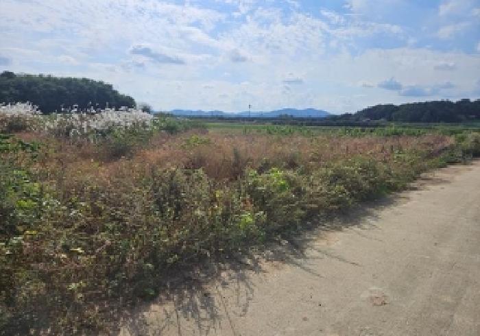 경기도 평택시 팽성읍 본정리 263-2 전 경매 사진 14