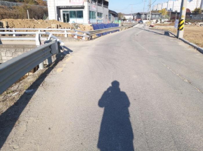 경기도 평택시 장안동 513-1 전 경매 사진 17