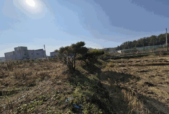 경기도 평택시 장안동 513-1 전 경매 사진 8
