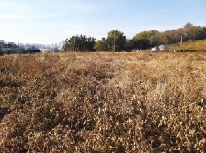 경기도 평택시 죽백동 403 답 경매 사진 10