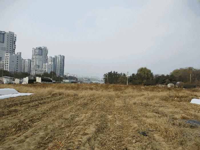 경기도 평택시 죽백동 403 답 경매 사진 2