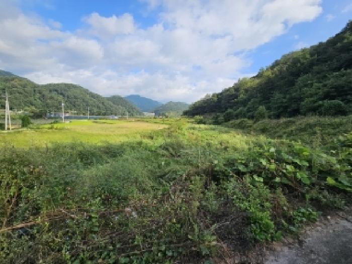 경상북도 영주시 풍기읍 금계리 248 전 경매 사진 3