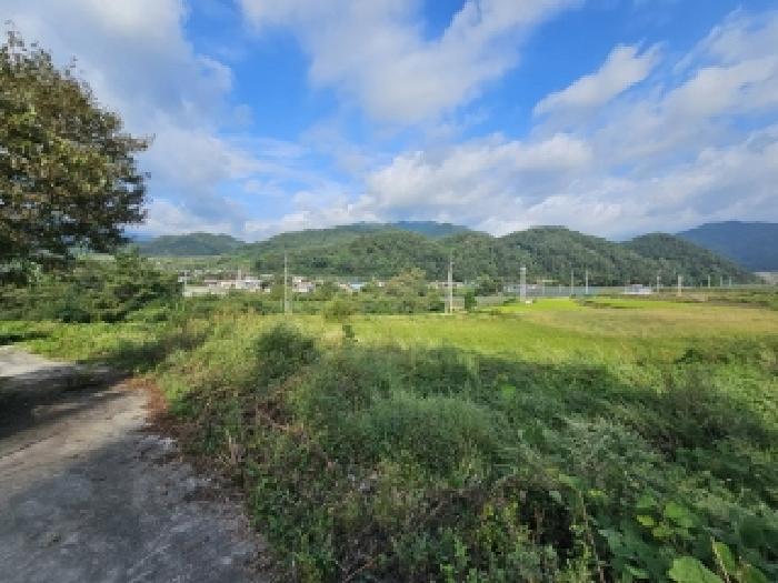 경상북도 영주시 순흥면 태장리 288 전 경매 사진 2
