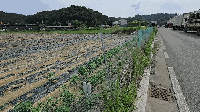 충청북도 충주시 대소원면 대소리 27-1 답 경매 사진 3